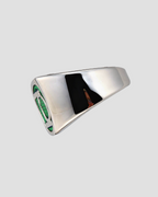 ANILLO DE COLECCIÓN DE ENERGÍA - EDICIÓN CLÁSICA